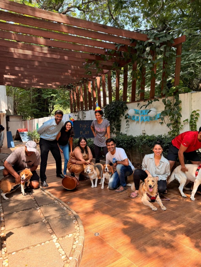 Paws N Play team celebration
